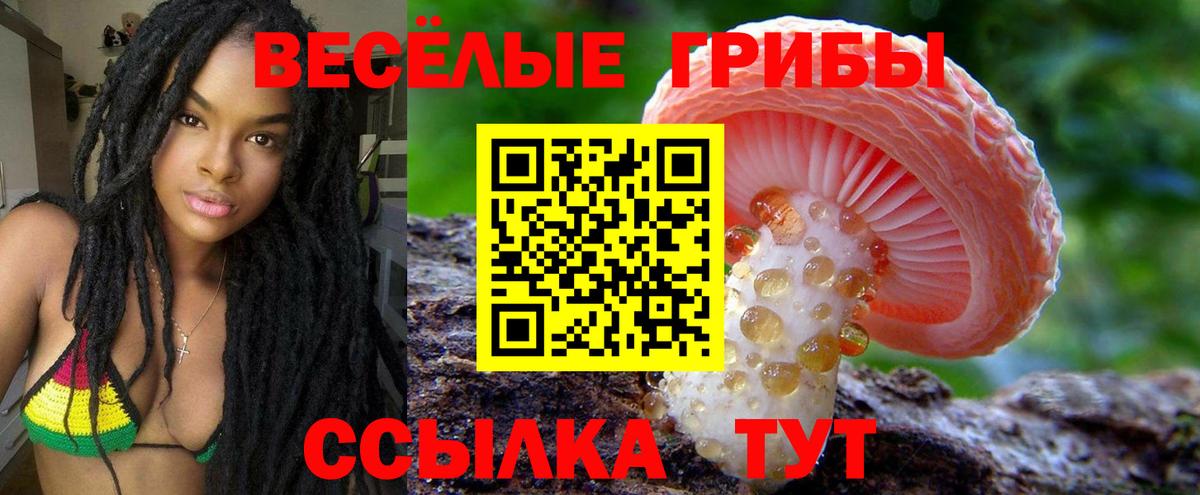 Галлюциногенные грибы ЛСД Белебей